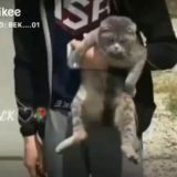 🅑🅔🅖'🅤🅑🅞🅡 🅓🅤🅢🅣🅛🅐🅡🙃