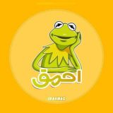 [ احمق … ]
