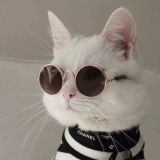 ALBRUS|ОБУЧЕНИЕ🤑