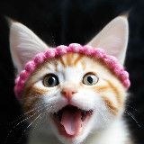 🐶🐱🐰Забавные и милые животные