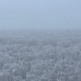 Раушенберг в слезах