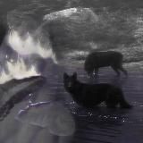 𝐋𝐮𝐧𝐞̄𝐜𝐭𝐫𝐞 | DOVE'S DAY!