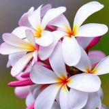 🌌ЖИВЫЕ ФОНЫ🌌