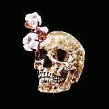 Кровна Помста