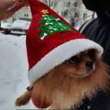 Персик 🍑 Чат