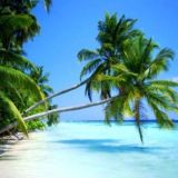 🐚🌴ПУТЬ К МЕЧТЕ🌴🐚