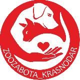 Zoozabota_krasnodar