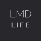 Кроссовки "LMD life"