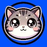 Morfey (TON FOUNDER CAT) | TON | PORTAL