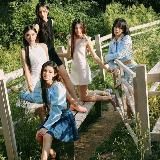 шрифты для капкута алайт моушен / кк ам - бесплатные русские английские шрифты