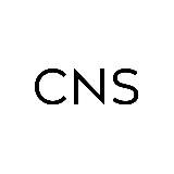 CNS — COINED IN STONE