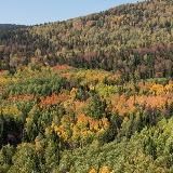 Висимский заповедник