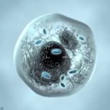 Митохакинг