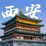 西安品茗茶园春色