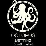 Small market Octopus