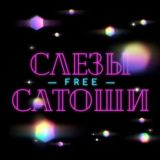 Слезы Сатоши [фри]