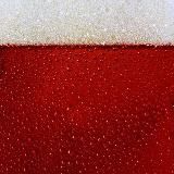 Ересь Рагны