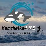 Камчатка LIFE