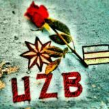 Zakas Mp3 (24-online)