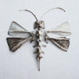 ɢʀᴏꜰᴍᴏᴛʜ