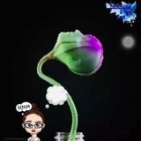 🧠 Psicanálise & Você 🎭 Oficial