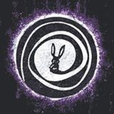 DOWN THE RABBIT HQLE