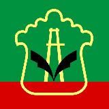 Светлый Альметьевск