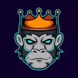 Crypto King Lounge