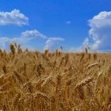 Listening to Ukrainian ❤️‍🩹