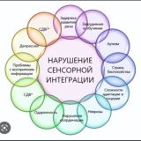 Сенсорная интеграция и нейропсихология