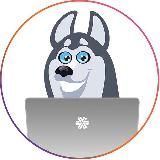 SW_Surgut_LIVESTORE