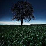 Внутряк ПСИХолога