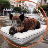 Хайфа, что новенького?