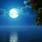 شعـر ڪــوتاه