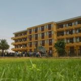 Singularity Batch 29