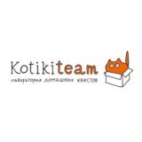 KotikiTeam Chat
