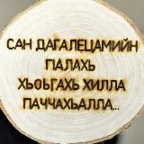 ТЛ🌷