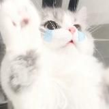 柚柚北中南心得分享🍀