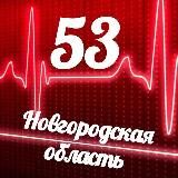 Мониторинг 53 Новгородская область