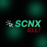 SCNX.AI — Prompts