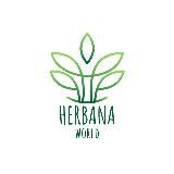🌿 Herbana.World | Справочник Лекарственных трав и растений