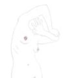 ваша вешенка чат