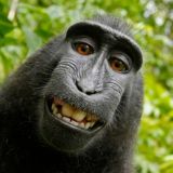 ☢️Кирпичник☢️