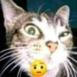 сниппеты локи Chat