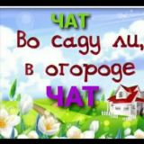 Чат "во саду ли в огороде"