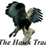 theHawkTrader Antonio Lengua
