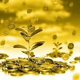 🌟 ИДЕАЛЬНЫЙ ОНЛАЙН ЗАРАБОТОК 🌟