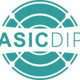 ASIC_DIP