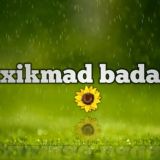 Xikmad badan