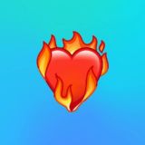 Telegram免费代理 @FLL8